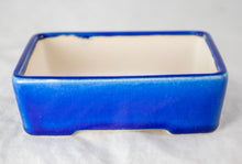 Rectangular Glazed Mame Bonsai Pot + Mesh 4"x 3"x 1.25"